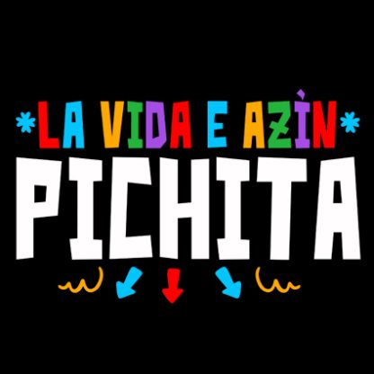 Camisetas originales “E azín pichita”